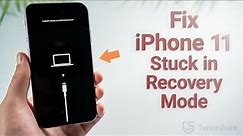 Top 4 Ways to Fix iPhone 11 Stuck in Recovery Mode, No Data Loss!
