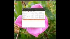 How to create and run the Hiren's BootCD 15.2 in Ubuntu 12.10 Linux