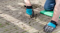 Envirobond: How to remove weeds from your Paving stone joints