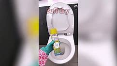 Lynsey Crombie demonstrates how to clean your toilet