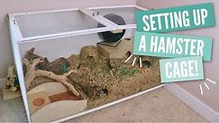 How to Setup a Hamster Cage