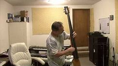 Stagg EDB 3/4 Electric Upright Bass Demo/Review