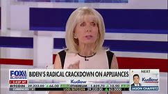 Fox Guest Alleges Electric Stoves Are Part Of Government Conspiracy: ‘Eventually, They Can Control That Stove’