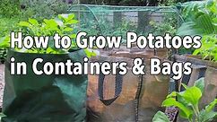 Growing Potatoes in Containers - How to Grow Potatoes in Bags or Pots