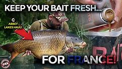 🚨 HOW TO KEEP YOUR BAIT FRESH FOR FRANCE!