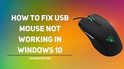 How to Fix USB Mouse Not Working in Windows 11/10