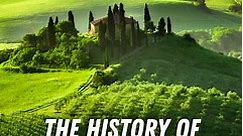 The history of olive oil in Tuscany 🫒