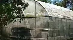 At Bonuan Boquig Elementary School, Dagupan City. Rehabilitation of greenhouse (7m x 9m) | Hydroponics Garden Supply