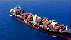 MSC container vessel 😍 | Matelot
