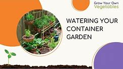 Watering Your Container Garden