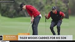 Tiger Woods caddies for his son Charlie in a recent tournament