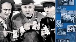 Three Stooges Collection: 1937 - 1939: Tassels In The Air