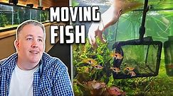 What's New in the Fish Room? Unveiling the Latest Changes
