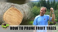 Back to Eden Gardening - How To Prune Fruit Trees for Maximum Production with Arborist Paul Gautschi