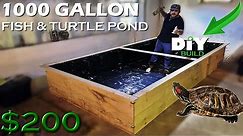 $200 DIY FISH & TURTLE POND (1000 GALLON INDOOR WOODEN POND)