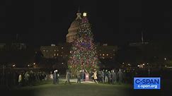 U.S. Capitol Christmas Tree Lighting Ceremony