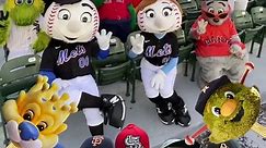 i just want to know who caught The Oriole Bird’s hands or wings or whatever #sports #mlb #mascots #funny #wow