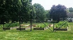 Deer Fence for Gardens by Benners keeps deer and rodents out–shop our deer garden fence solution - The Benner Deer Fence Company