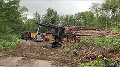 Logging equipment in operation