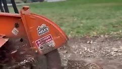 Tree Stump removing by grinding