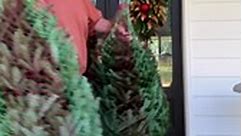 Decorating the front porch!!🎄#christmasporchdecor #christmasporch #christmastree #ChristmasTree2023 #foyerdecor #christmasfoyer #christmasfrontdoor #christmastips #Christmasswag #christmasdoor #christmas #christmasdecor #christmasdecorations #christmasmantle #christmasmagic #christmasfireplace #mantledecor #mantle #christmastree #christmas2023 #cozychristmas #christmastime #christmasmood #santa #winter #christmasinnovember #magnolia #christmastablesetting #christmastabledecor #christmastablesca
