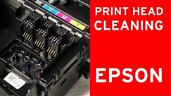 Epson print head cleaner, nozzle cleaning - flushing clogged nozzles