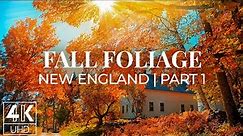 Fall Foliage in New England - 4K Wallpapers Slideshow - Enchanting Autumn Nature Scenes #1