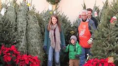 Fresh Cut Christmas Trees at The Home Depot