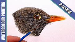Blackbird in Watercolour with Paul Hopkinson