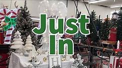Big Lots Home Store | Christmas 2023😮😮😮