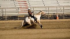 A Beginner's Guide to Reining (Tips, Maneuvers, etc.) - Horse Rookie