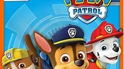 PAW Patrol: Volume 5 Episode 11 Pups Save a School Bus/Pups Save the Songbirds