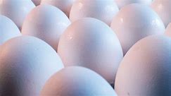Largest fresh egg producer in US halts production at Texas plant after bird flu found in chickens
