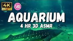 4k 180 3D Underwater ASMR, beautiful large Aquarium