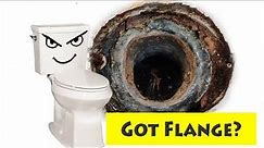 DIY Toilet replacement gone bad, flange missing