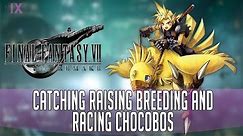 Final Fantasy 7 Remake Catching Raising Breeding And Racing Chocobos
