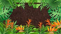 How to use FoxFarm's Big Bloom, Grow Big and Tiger Bloom Liquid Fertilizers - FoxFarm Soil & Fertilizer Company