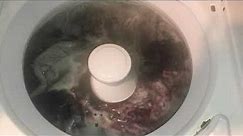 1996 kenmore Direct Drive Washer Washing Blankets