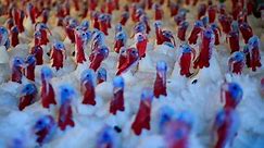 Bird flu found at Daviess County turkey farm; state's 15th infected flock of 2022