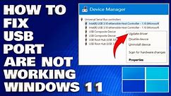 How To Fix USB Port Are Not Working in Windows 11/10 [Solution]