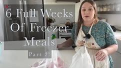 Freezer Meals For Our Growing Family PART 2!