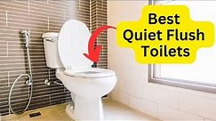 Best Quiet Flush Toilets - All You Need To Know