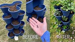 *NEW* Stackable Planter DIY / Before & After / Q & A / Dollar Tree Stackable Planter Vertical Garden