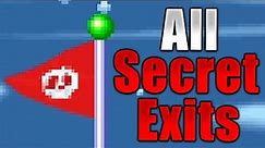 New Super Mario Bros. DS - All Secret Exits (4K)