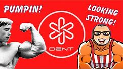 DENT COIN TIME TO PUMP!