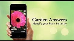 My Garden Answers: Identify Your Plant Instantly
