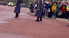 #reelsfb #highlights Changing Guards at Buckingham Palace | Lorena LK