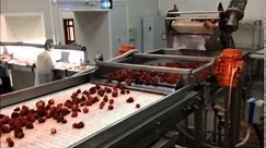 OctoFrost Frozen- IQF Berries: Strawberries