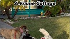 1974 Sears Brand Steel A-Frame Cottage ❤️☮️ | 2 Traveling Dogs