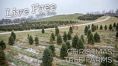 NH Christmas Tree Farms